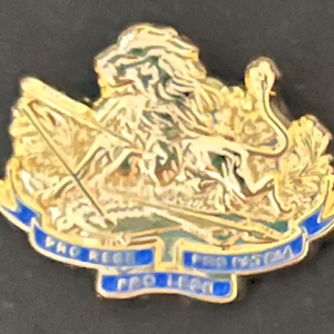 Lapel Pin – No Crown