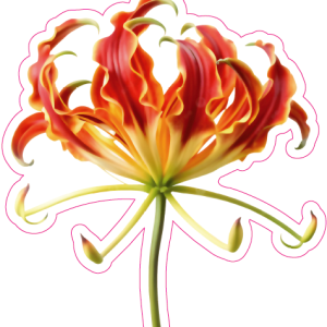 Flame Lily Car Sticker