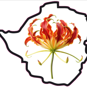 Flame Lily sticker in Map
